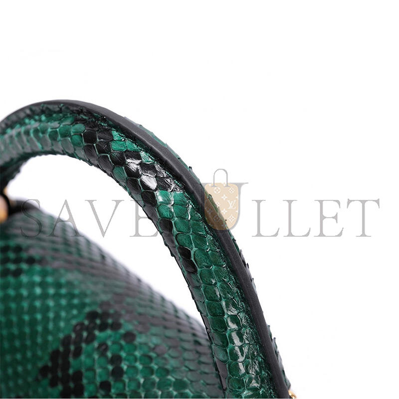 LOUIS VUITTON CAPUCINES MINI M81410 (21*14*8cm)